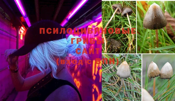 каннабис Верея